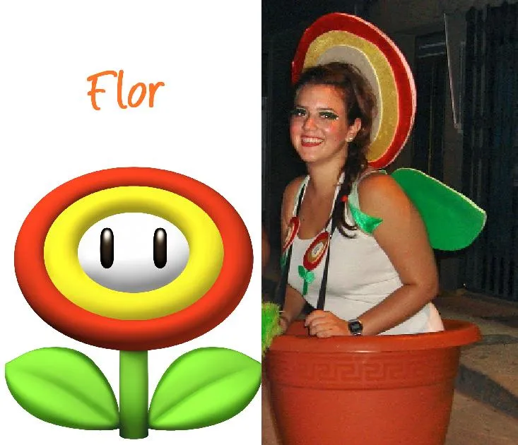 Disfraz flor Mario Bros - Imagui