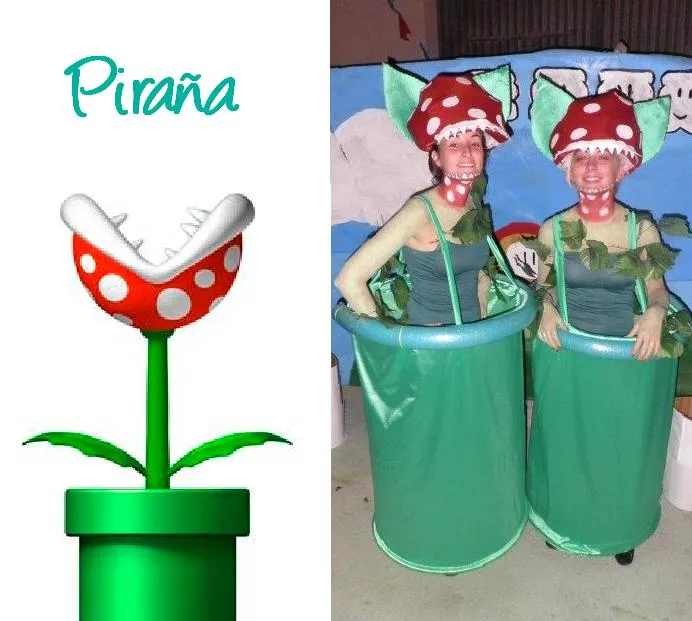 Disfraz flor Mario Bros - Imagui