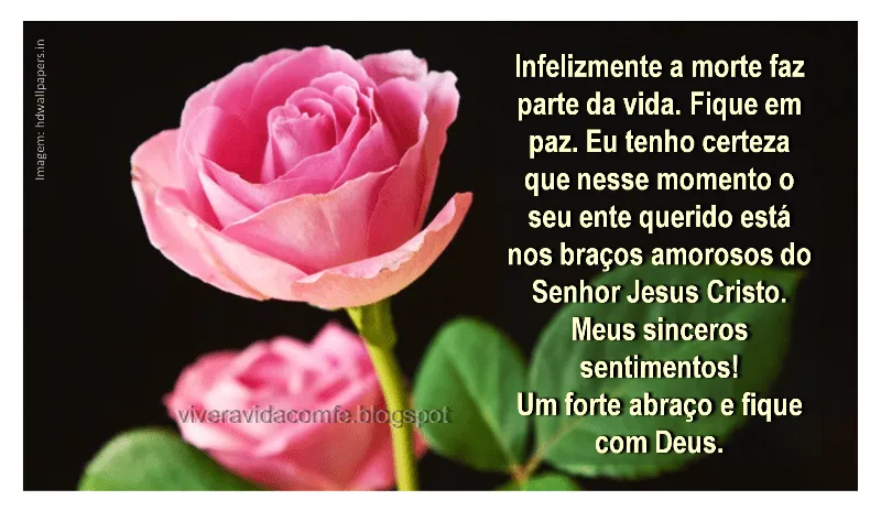 Superação....o maior desafio!: Os espíritas