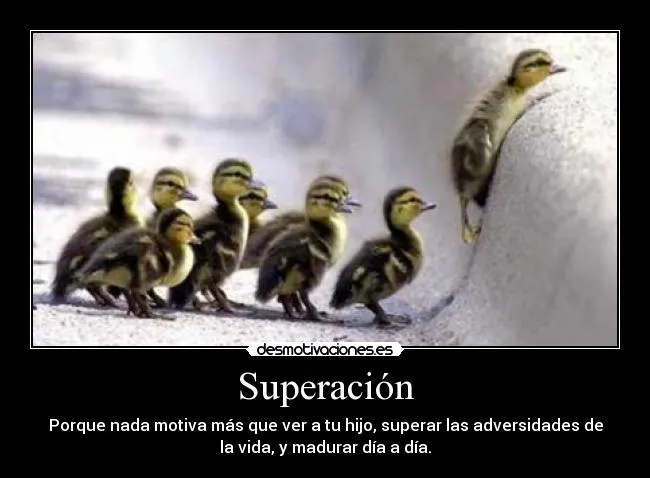 Superación | Desmotivaciones