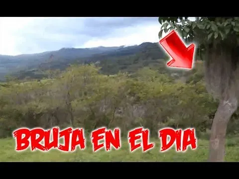 Supuesta Bruja acosa jovenes en bosque de colombia | Videos de ... Supuesta Bruja acosa jovenes en bosque de colombia | Videos de ...