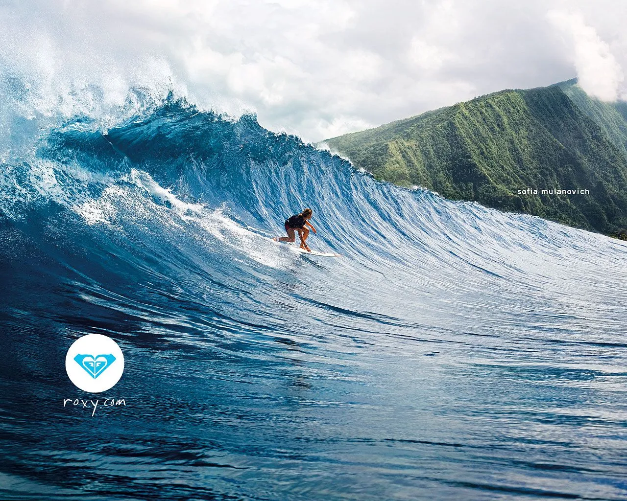 SURF | Photofusionvirtual