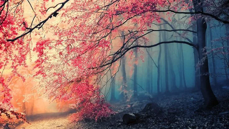 Surprising Flowers Wallpaper Tumblr Quotes Wallpapers Tumblr Hd ... Surprising Flowers Wallpaper Tumblr Quotes Wallpapers Tumblr Hd ...