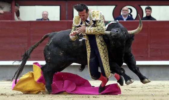 Suspendida la corrida en Las Ventas por la cogida de los tres ... Suspendida la corrida en Las Ventas por la cogida de los tres ...