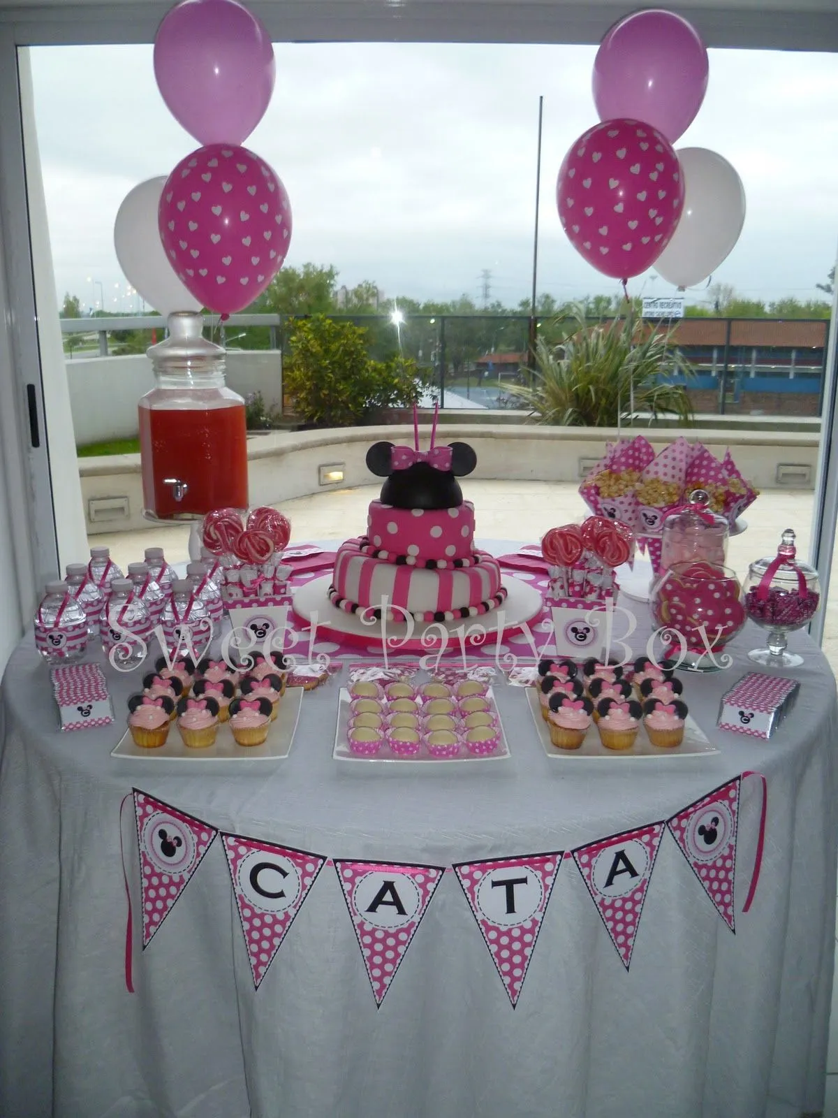 Sweet Party Box: CaTaLiNa CuMplE 2 aÑoS!: MinniE MoUse ParTy!!!!