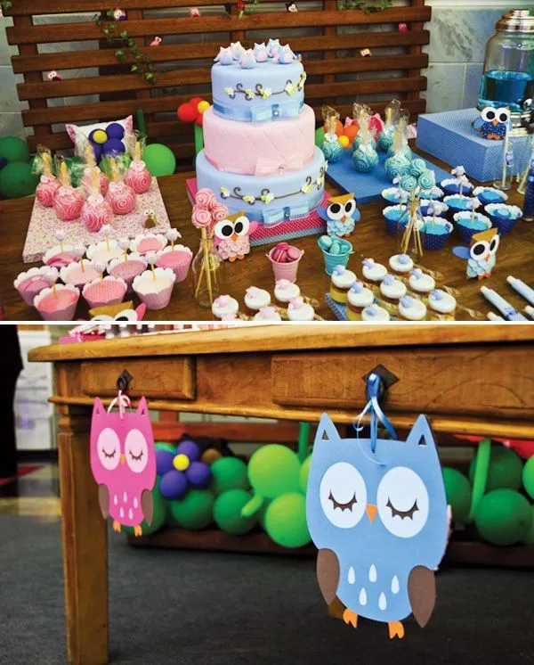 Sweet Pink & Blue Owl Dessert Table | Owl Desserts, Pink Blue and ...