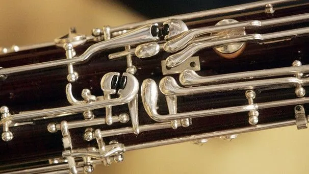 Symphonieorchester des BR: 2. Oboe | Karriere | BR.de