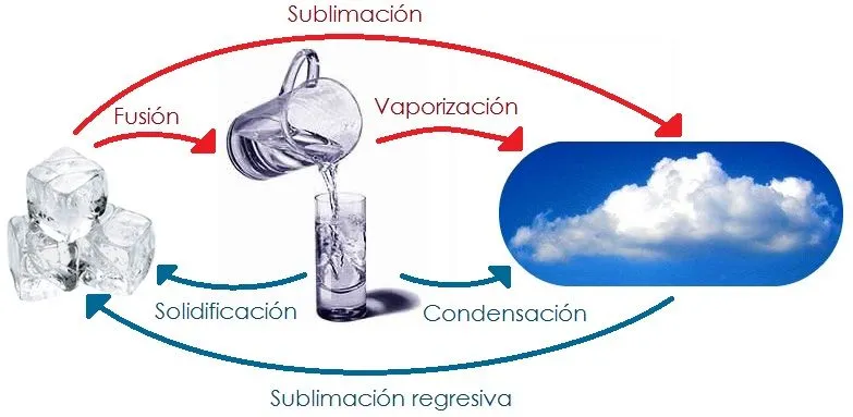Para 2º ESO » Blog de Ciencias de la Naturaleza