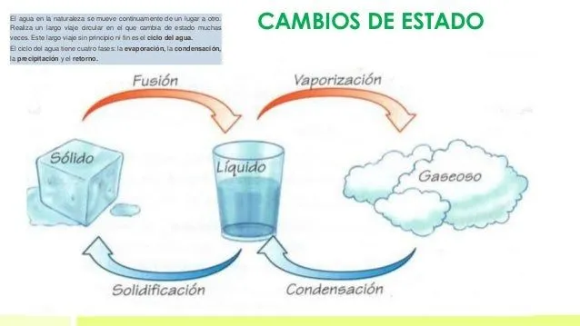 t4-el-agua-7-638.jpg?cb=1416743534