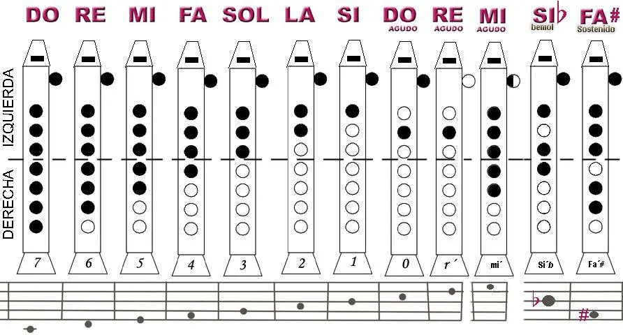 Notas de flauta dulce - Imagui