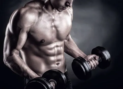 Tablas y rutinas de musculación - Shock Fitness Center - Badajoz