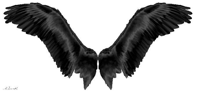 Take your wings II by luisbc on DeviantArt