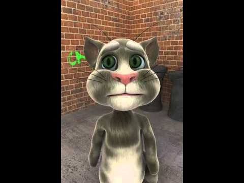Talking Tom, el gato que repite lo que hablas | La Loca de los Gatos Talking Tom, el gato que repite lo que hablas | La Loca de los Gatos