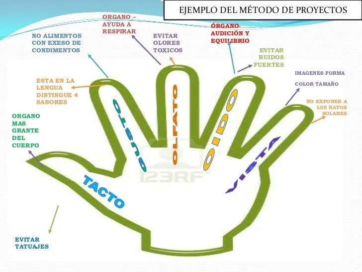 taller-11-mtodo-de-proyectos- ...