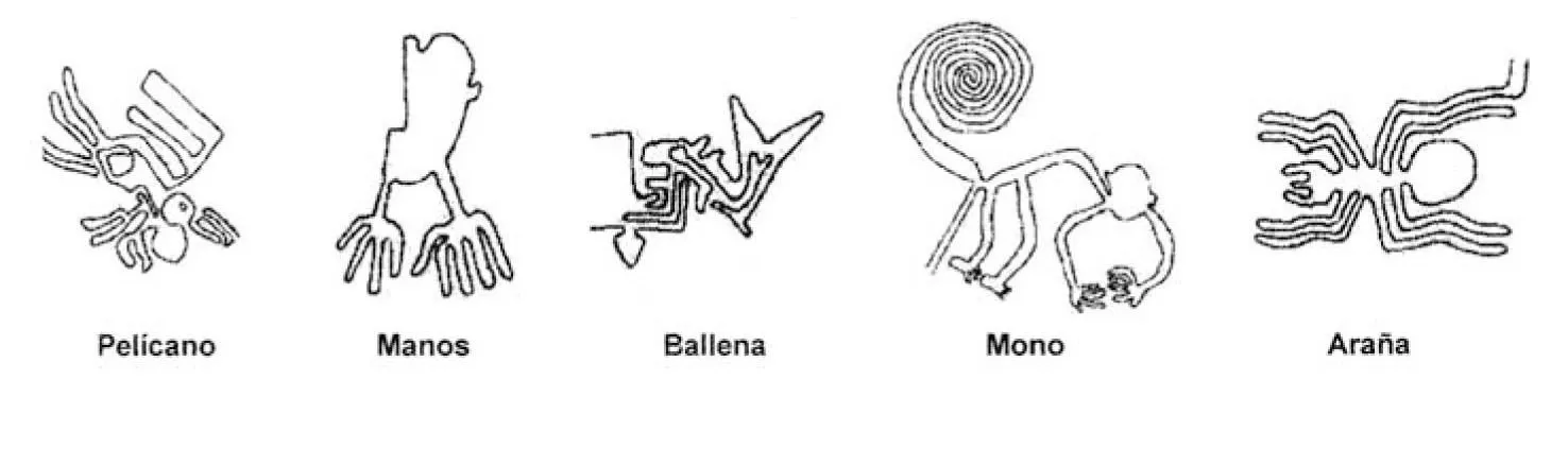 TALLER DE ARQUITECTURA TRAZOS: 2007 1