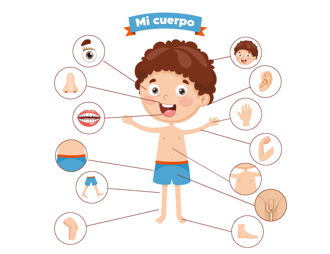 Taller de autocuidado del cuerpo para niños Taller de autocuidado del cuerpo para niños