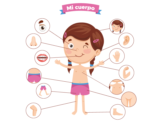 Taller de autocuidado del cuerpo para niños Taller de autocuidado del cuerpo para niños