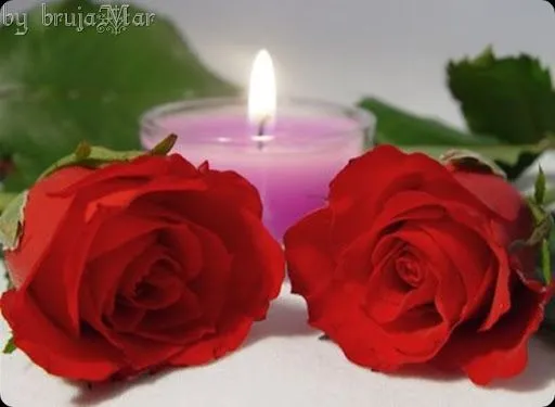 El taller de la brujaMar: Flores en HD, gifs El taller de la brujaMar: Flores en HD, gifs