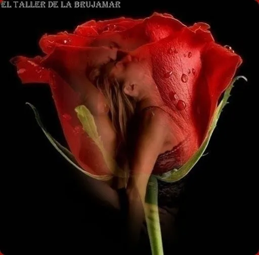 El taller de la brujaMar: Flores rojas, estáticas y animadas