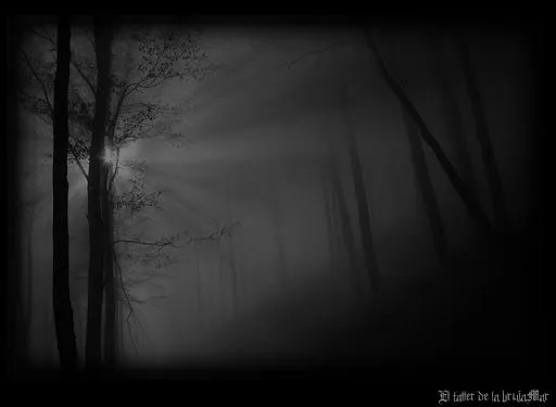 El taller de la brujaMar: Nuevos FONDOS NEGROS-