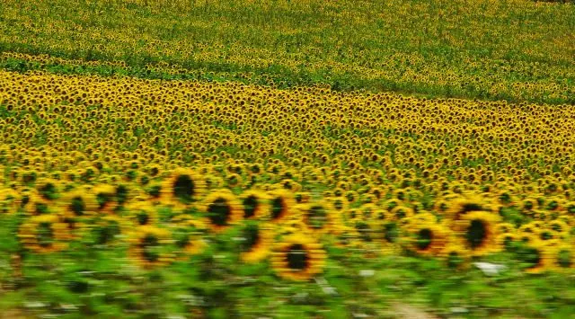 Taller de fotografía "Huellas de Luz": VELOCIDAD DE OBTURACIÓN Y ... Taller de fotografía "Huellas de Luz": VELOCIDAD DE OBTURACIÓN Y ...
