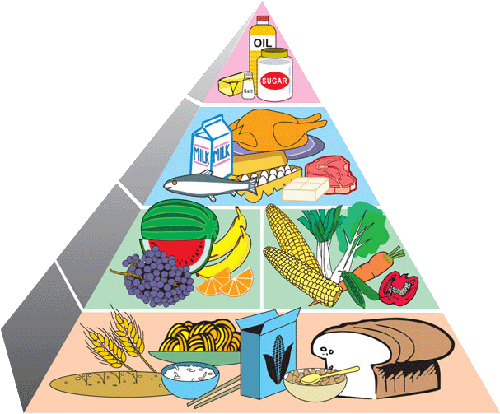 TALLER DE RESTAURACIÓN: LA PIRÁMIDE DE LOS ALIMENTOS