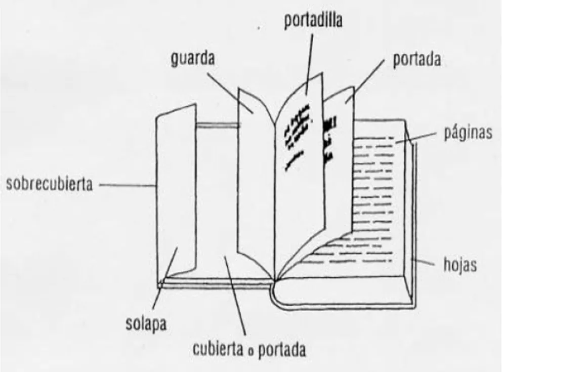 Taller Yolotl: LAS PARTES DE UN LIBRO
