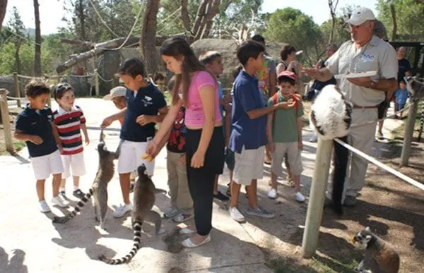 Talleres para niños 2013 en el Zoo Aquarium de Madrid Talleres para niños 2013 en el Zoo Aquarium de Madrid
