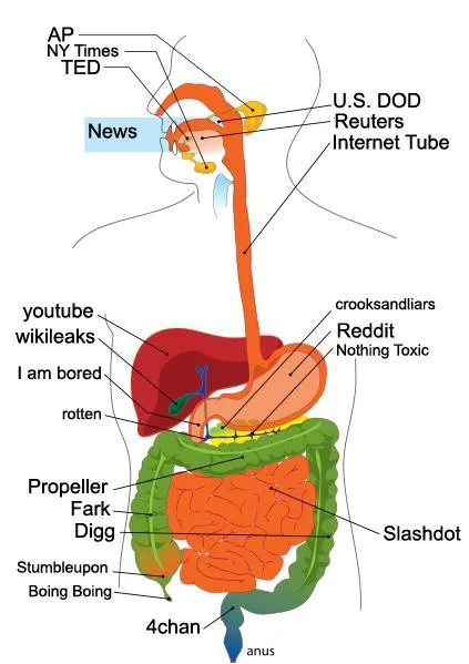 Y todo lo demás también... - ¿Este es es sistema digestivo de la ...