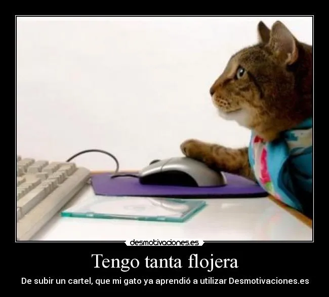 Carteles de Flojera | Desmotivaciones