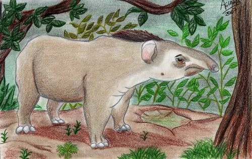 Tapir para dibujar - Imagui