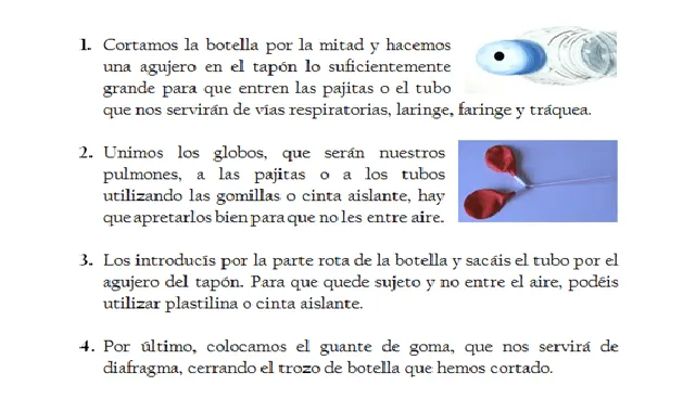 taquiamila: El aparato respiratorio y una botella que respira