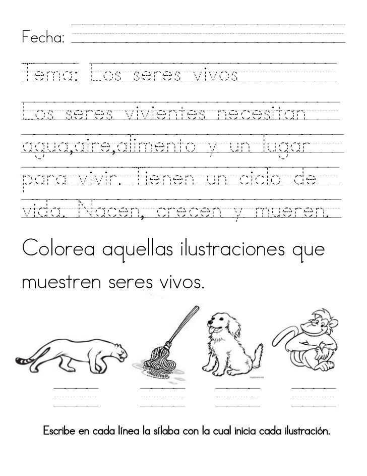 Tarea seres vivos