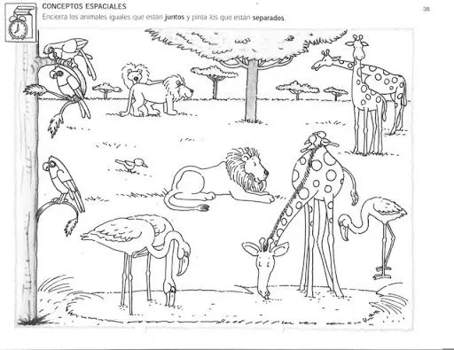 Tareas para niños de preescolar - Imagui