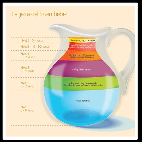 Tareas : Tareas.. El Plato del buen Comer y la Jarra del buen beber Tareas : Tareas.. El Plato del buen Comer y la Jarra del buen beber