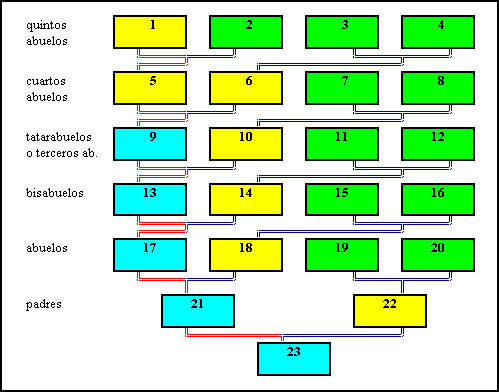 Tipos de arbol genealogico - Imagui