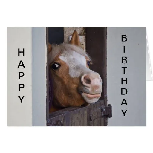 Tarjeta chistosa del feliz cumpleaños del caballo | Zazzle Tarjeta chistosa del feliz cumpleaños del caballo | Zazzle