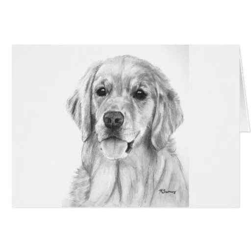 Tarjeta de dibujo del golden retriever | Zazzle