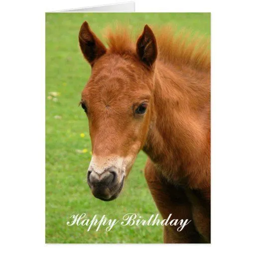 Tarjeta del feliz cumpleaños del caballo del bebé | Zazzle Tarjeta del feliz cumpleaños del caballo del bebé | Zazzle