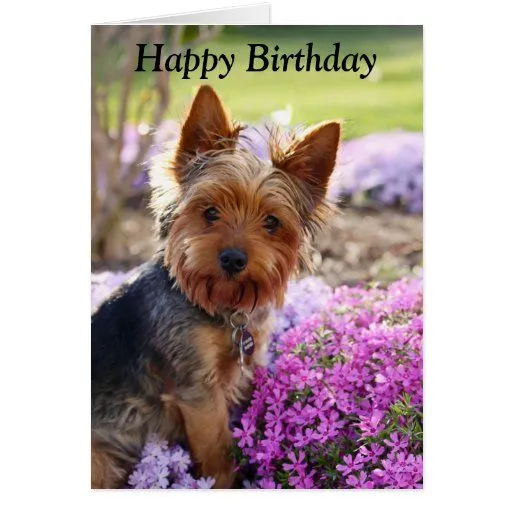 Tarjetas Perro Del Feliz Cumpleaños | Invitaciones Perro Del Feliz ... Tarjetas Perro Del Feliz Cumpleaños | Invitaciones Perro Del Feliz ...