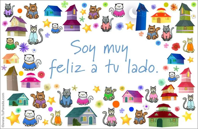 Tarjetas de gatos, postales con mi gato, tarjetas de gatos ...
