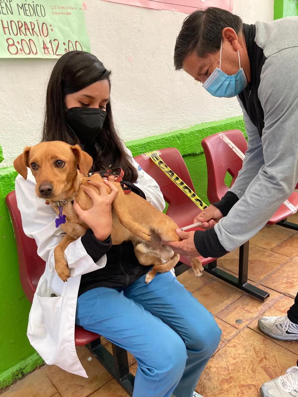 TARJETA INFORMATIVA: JORNADA NACIONAL DE VACUNACIÓN ANTIRRÁBICA CANINA Y FELINA TARJETA INFORMATIVA: JORNADA NACIONAL DE VACUNACIÓN ANTIRRÁBICA CANINA Y FELINA