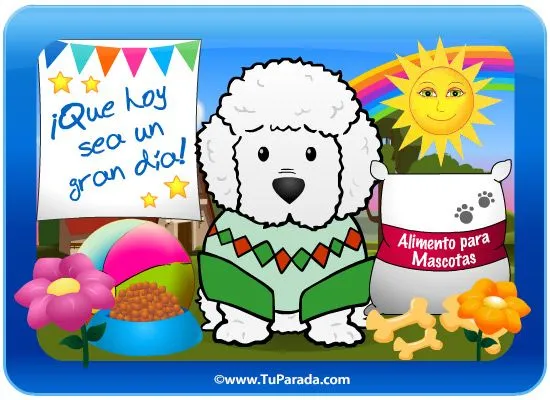 Tarjeta-juego: Perro Caniche Toy, Perros, tarjetas Tarjeta-juego: Perro Caniche Toy, Perros, tarjetas