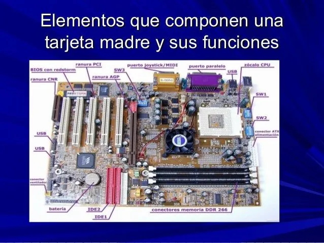 Parte de la tarjeta madre y sus funciones