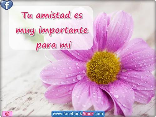 Tarjetas bonitas con flores para amistad Imagenes Bonitas para ... Tarjetas bonitas con flores para amistad Imagenes Bonitas para ...