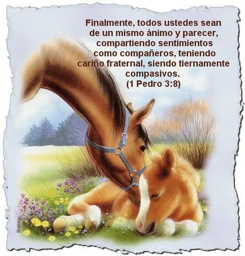 Tarjetas cristianas con texto biblicos: Tarjetas cristianas con ...