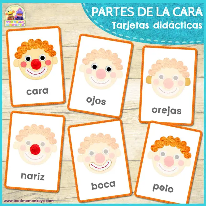 Tarjetas Didácticas - PARTES DE LA CARA - Tea Time Monkeys Tarjetas Didácticas - PARTES DE LA CARA - Tea Time Monkeys