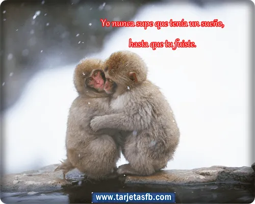 Tarjetas para Facebook Gratis | Postales para Amor y Amistad ...