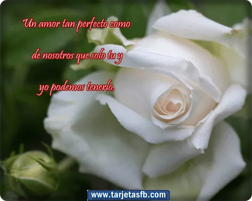 Tarjetas para Facebook Gratis | Postales para Amor y Amistad ... Tarjetas para Facebook Gratis | Postales para Amor y Amistad ...