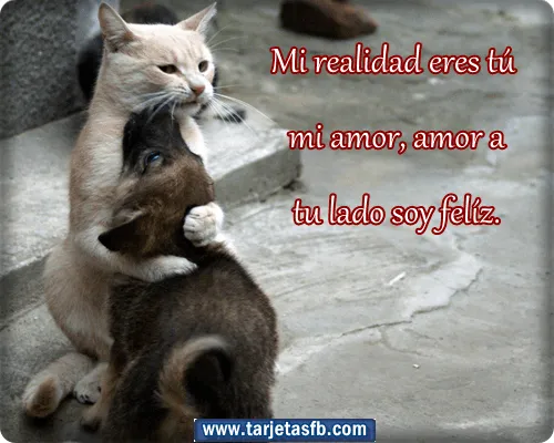 Tarjetas para Facebook Gratis | Postales para Amor y Amistad ... Tarjetas para Facebook Gratis | Postales para Amor y Amistad ...